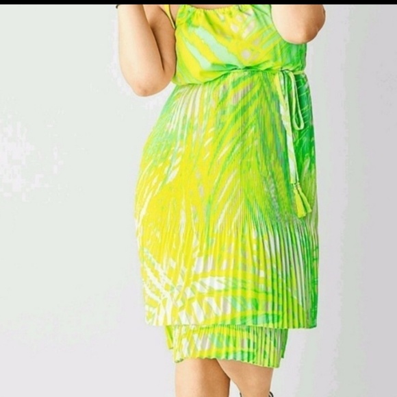 Lane Bryant Dress - Picture 2 of 2